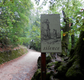 La forêt—Chemin des Roys